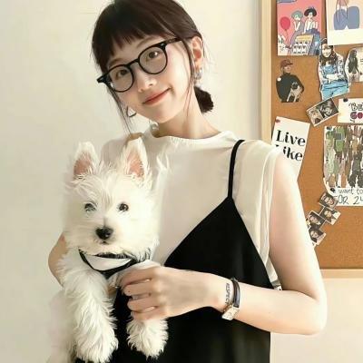 探长薇拉第十四季