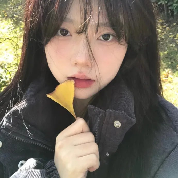 新猛龙过江